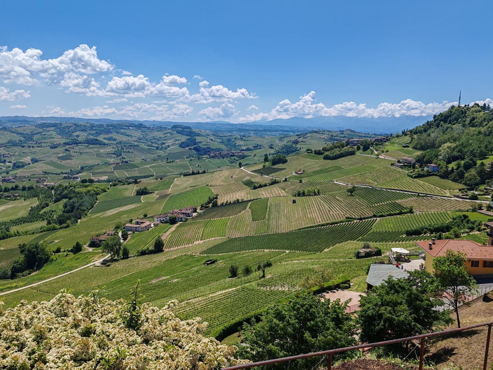 Апартаменты Tour In Langhe Ла Морра Экстерьер фото