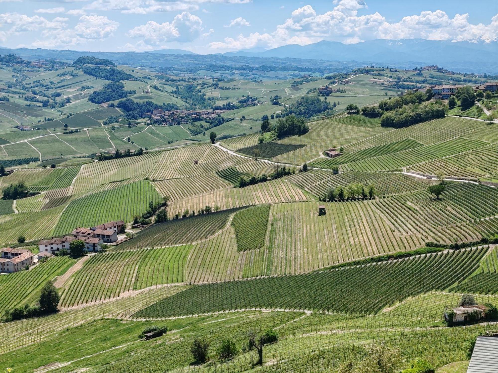 Апартаменты Tour In Langhe Ла Морра Экстерьер фото